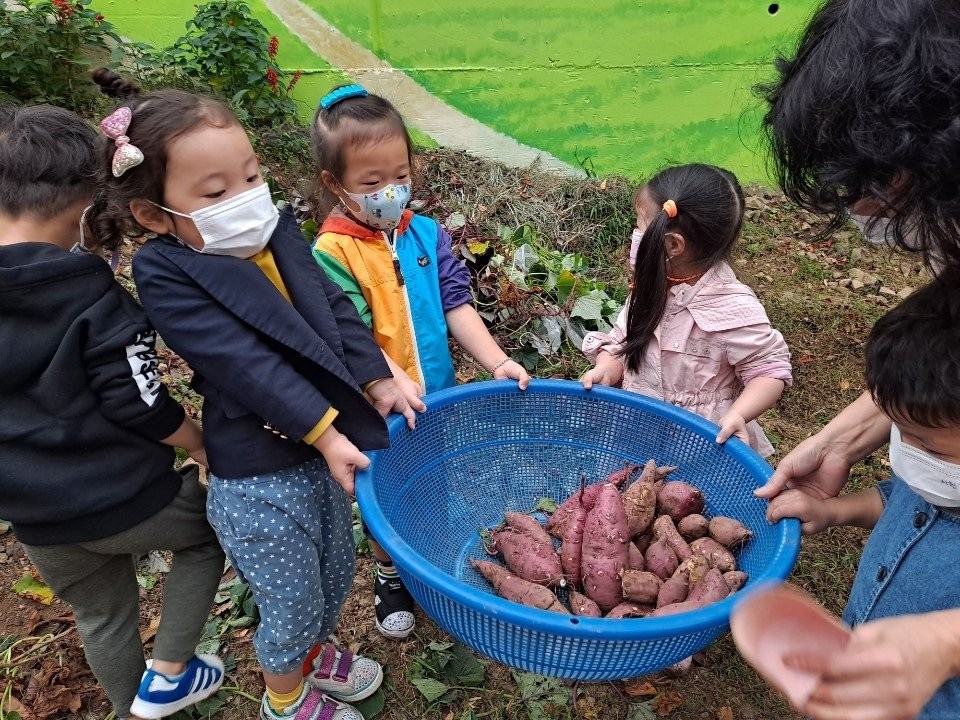 부산YWCA부설어린이집 - ..