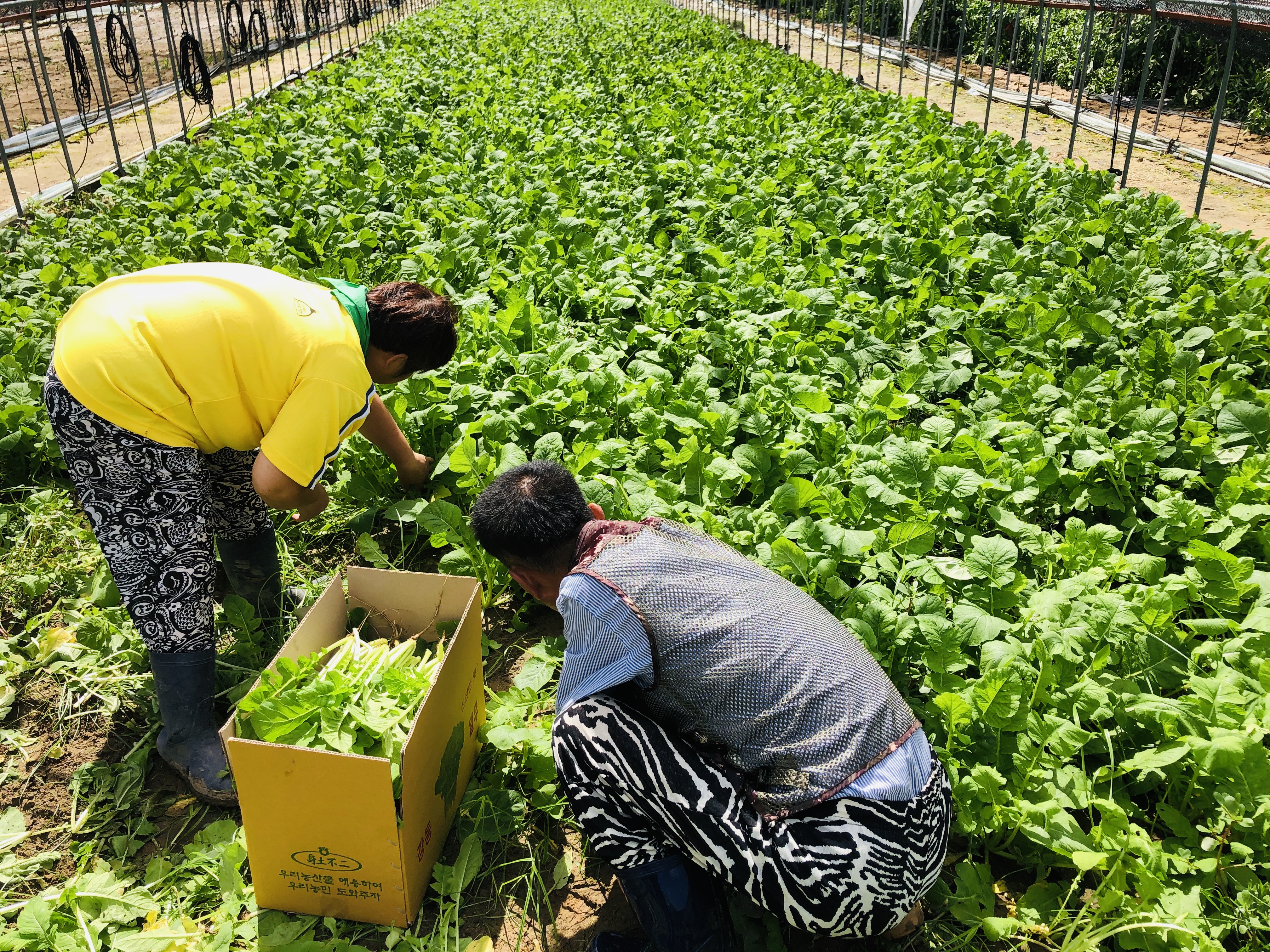 강서구지역자활센터 - 자활이..