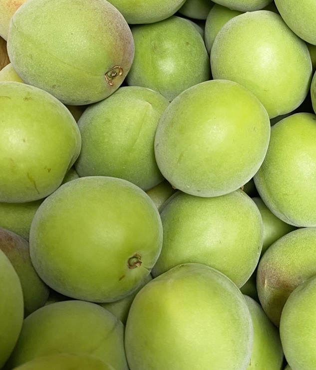 생활협동조합- 유기농 청매실..