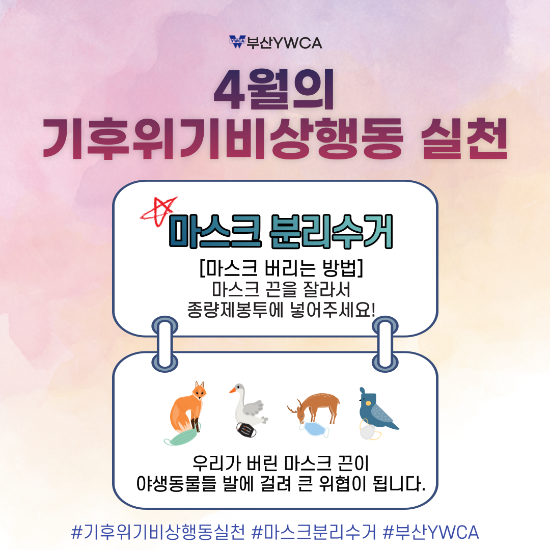 기후위기에 대응하는 부산YW..