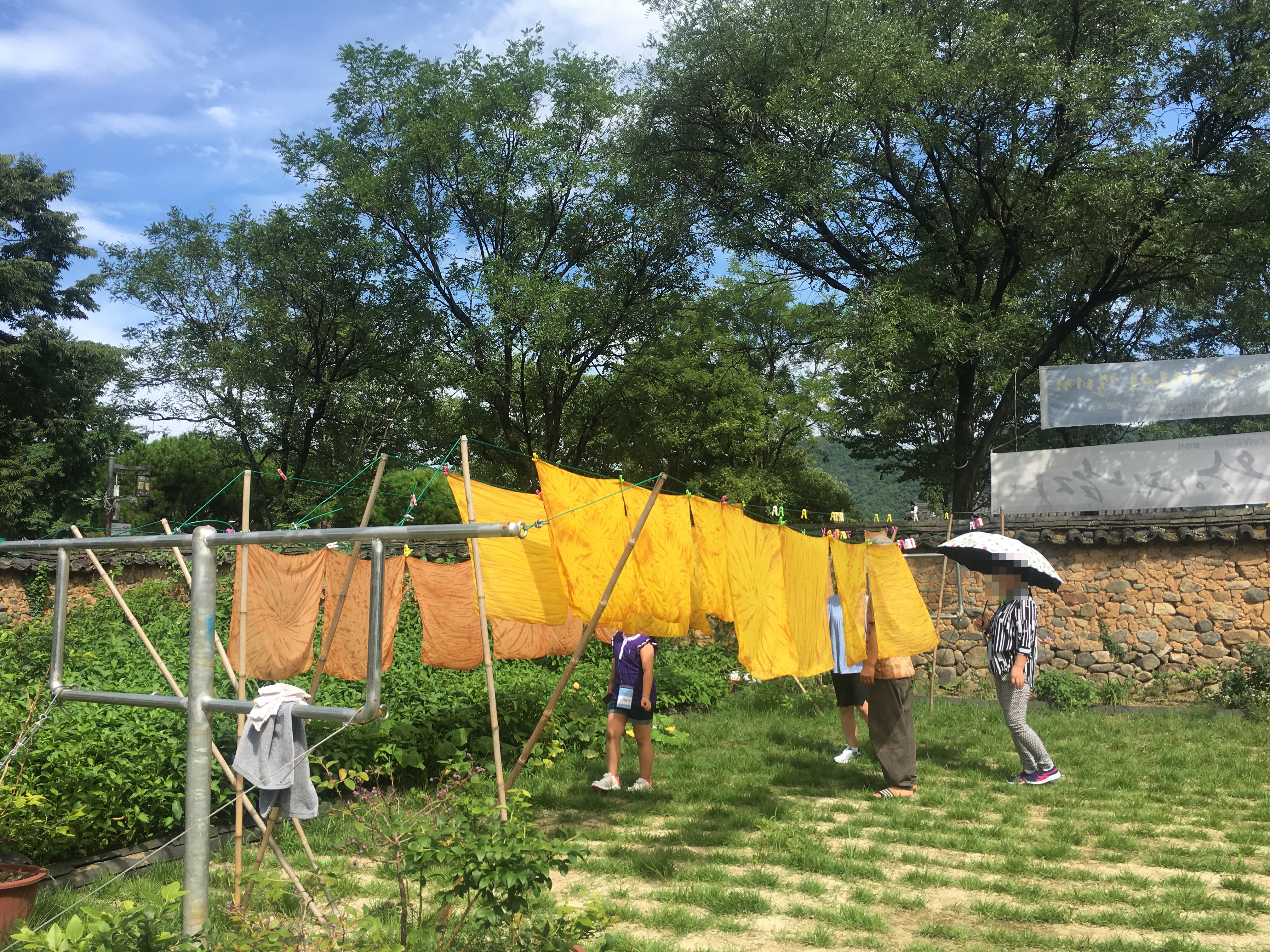 생산지탐방(차황메뚜기쌀 생산..