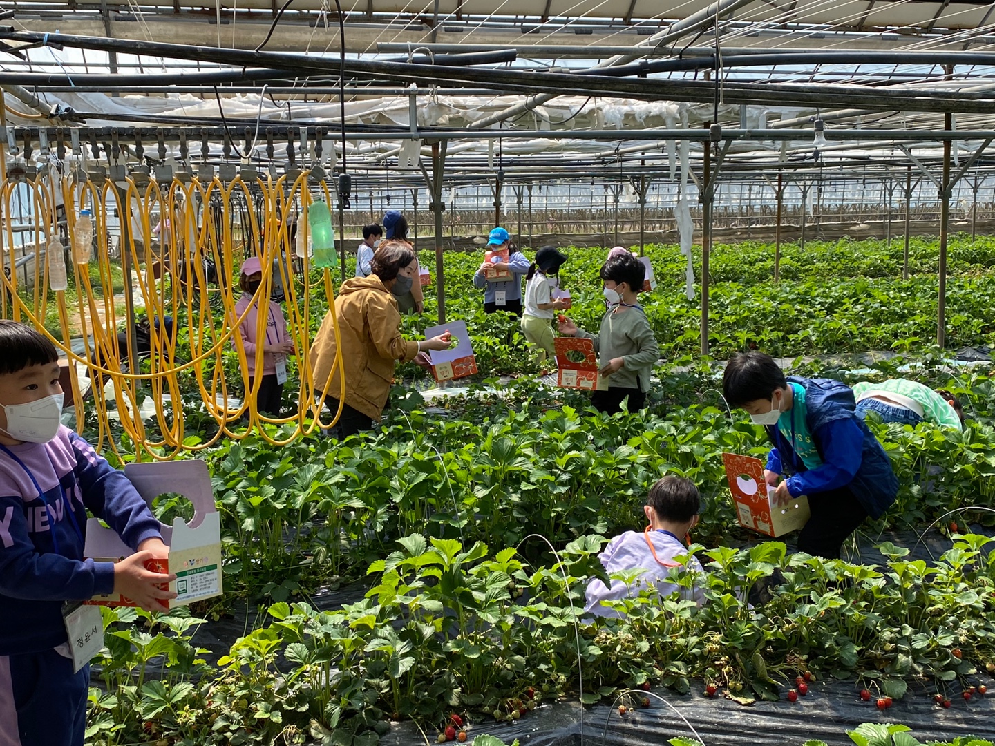 생활협동조합 – 베리 굿 데..