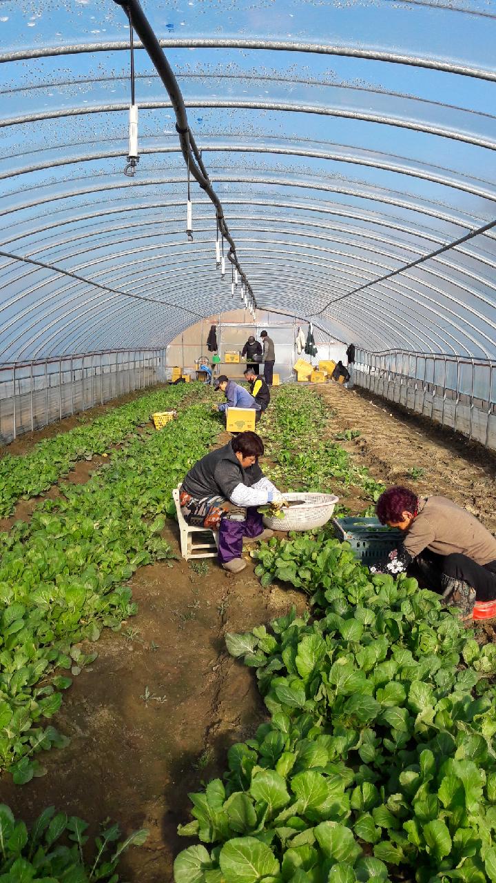 강서구지역자활센터-자활이 일..