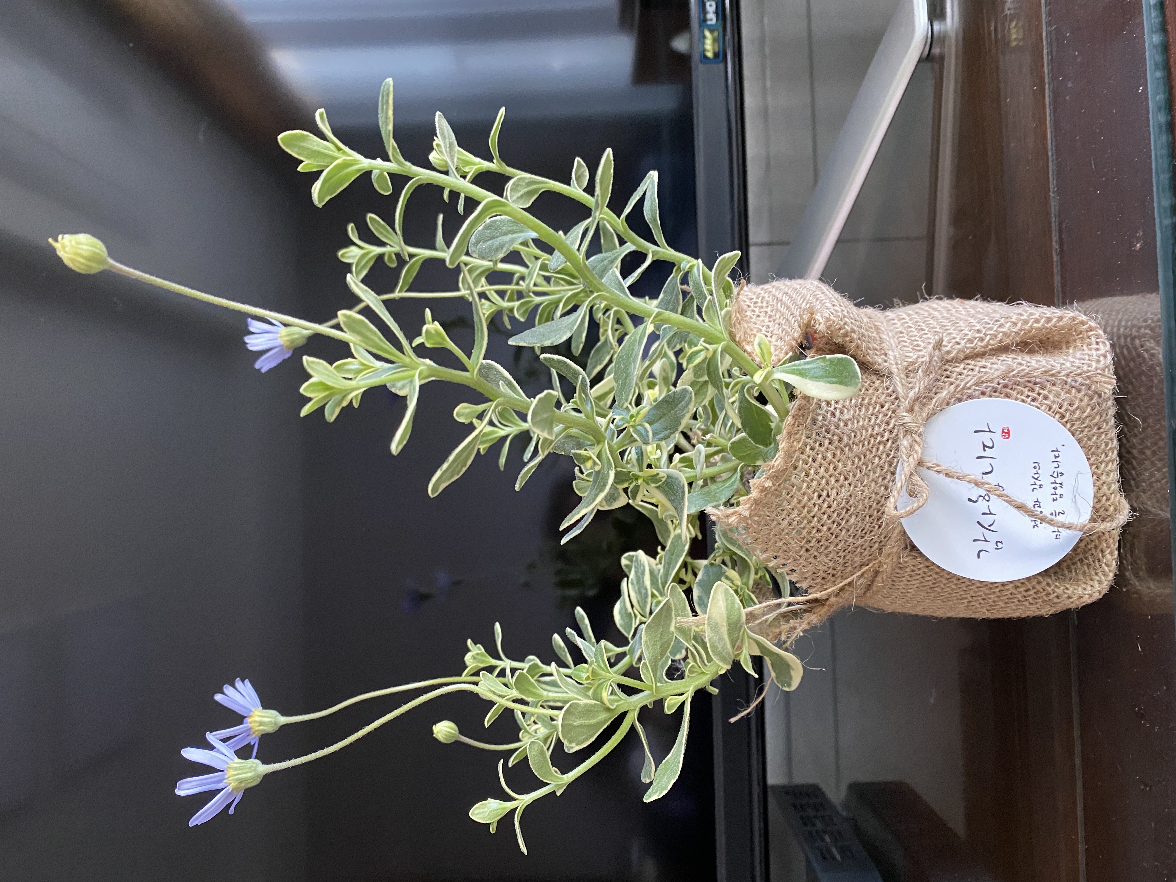 기후위기에 대응하는 부산YW..