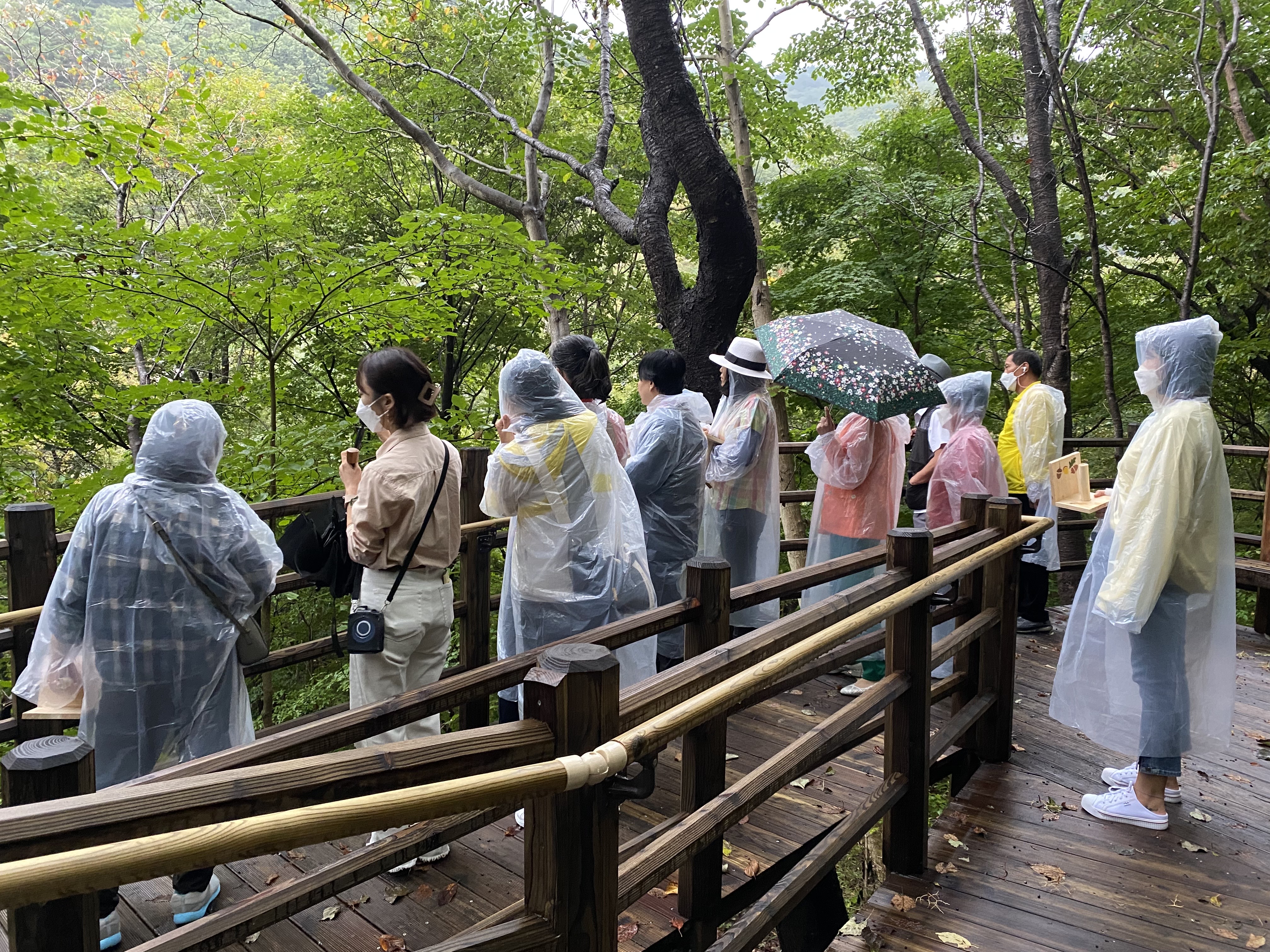 새터민지원센터 - 북한이탈주..